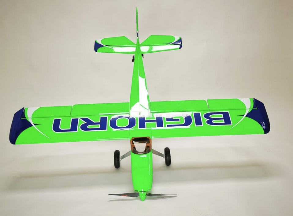 Bighorn Pro 1250mm Vert OMPHOBBY Voltige